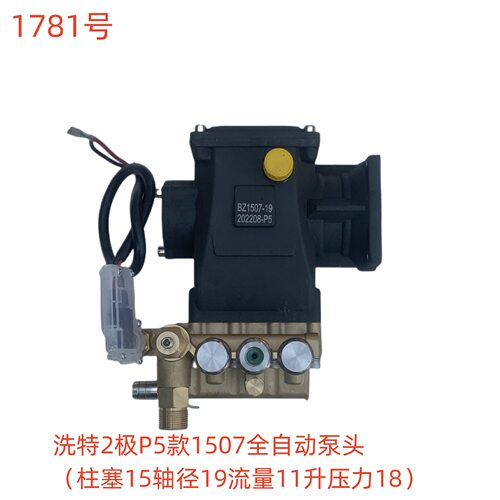 洗特2极P5款1507全自动泵头（柱塞15轴径19流量11升压力18）