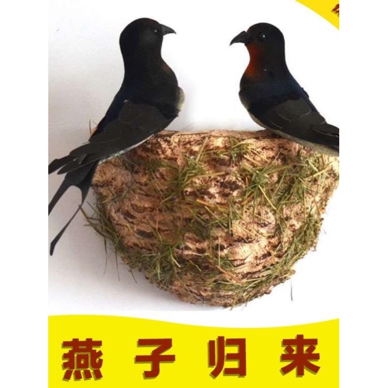 燕子窝户外人工鸟窝农村燕子窝人造燕子窝小燕子软装饰品彷真小鸟