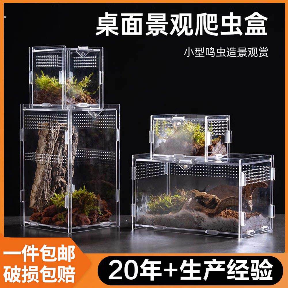 爬虫饲养盒宠物箱透明亚克力蜘蛛守宫角蛙甲虫蝎子造景爬宠防逃逸