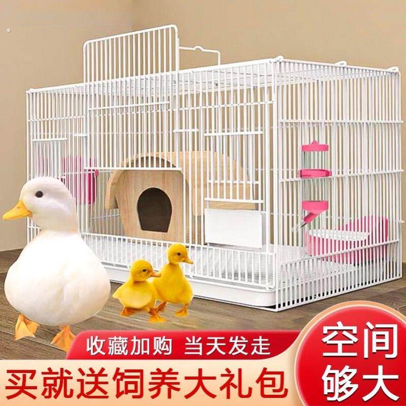 柯尔鸭专用笼子养小鸭子小鸡别墅笼大号家用室内芦丁鸡笼房子屋窝
