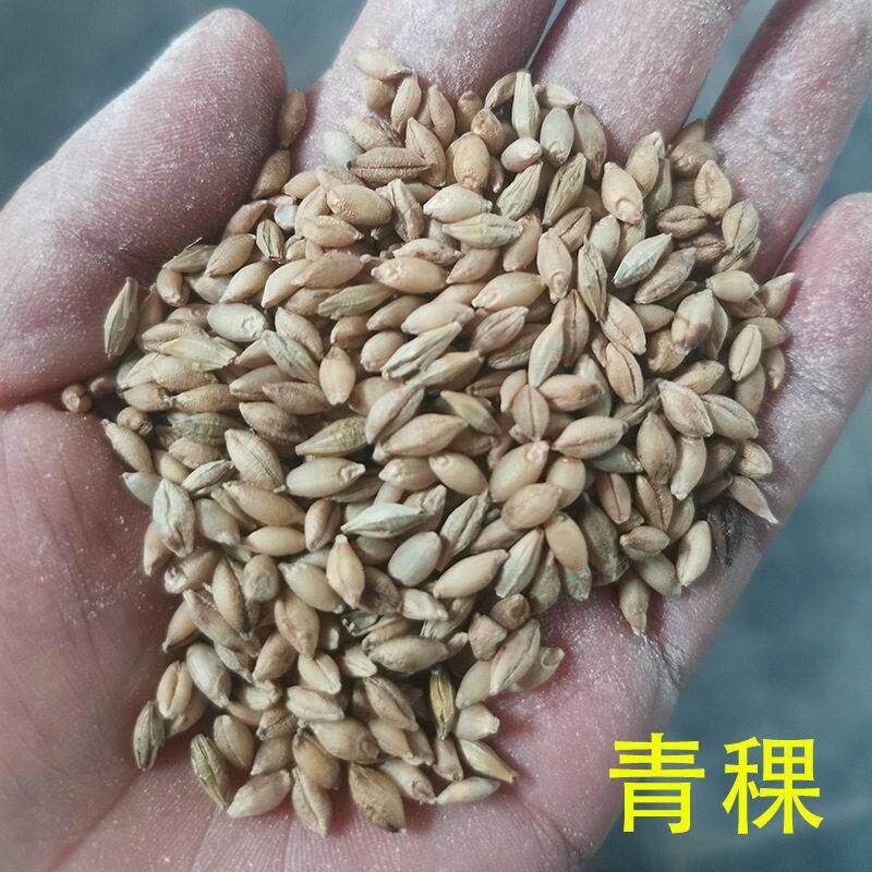 青稞脱壳机青海西藏青稞脱皮机