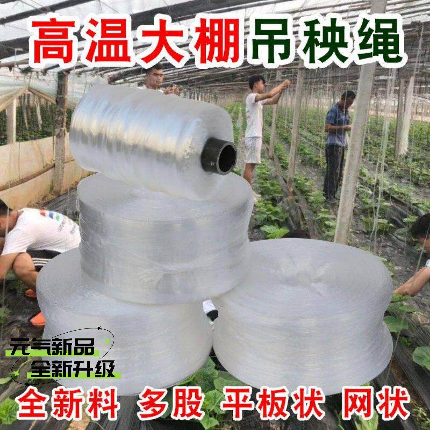大棚吊秧绳蔬菜吊绳西红柿辣椒黄瓜绳耐高温抗老化尼龙绳大棚用绳