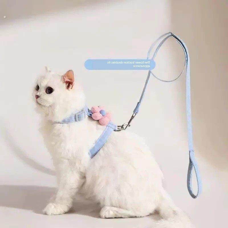 猫牵引绳，防脱绳，猫牵引绳，猫牵引绳，出门可调专用猫绳,宠物/宠物食品及用品,猫牵引绳,淘宝优惠券,粉丝福利购,淘宝优惠卷