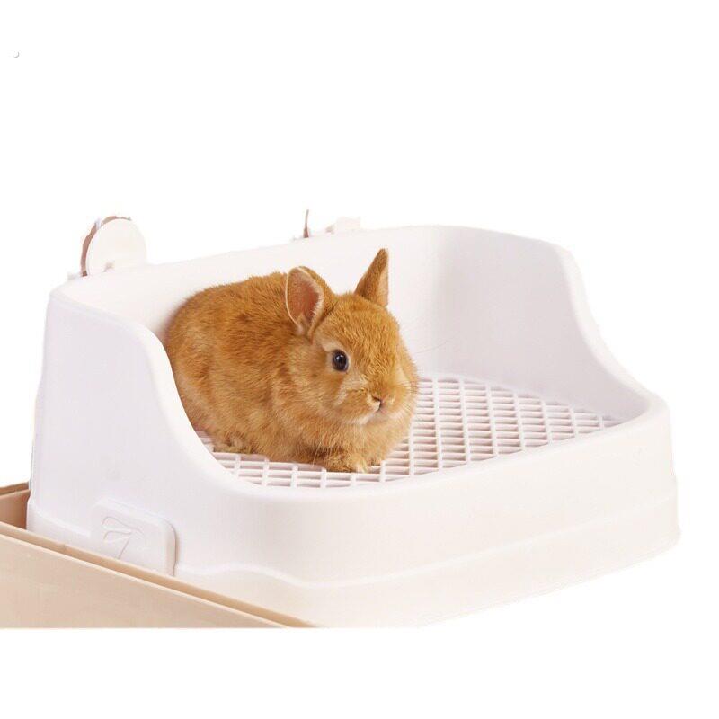 防掀翻分体式兔子厕所大号防喷尿易清理龙猫荷兰猪尿盆屎盆兔用品