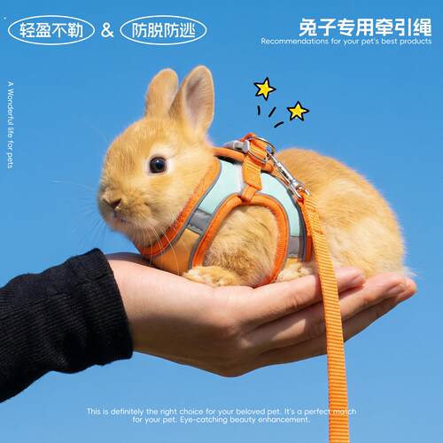 侏儒兔牵引绳小型遛兔子专用防挣脱可调节抱婴袋宠物小兔子幼兔外