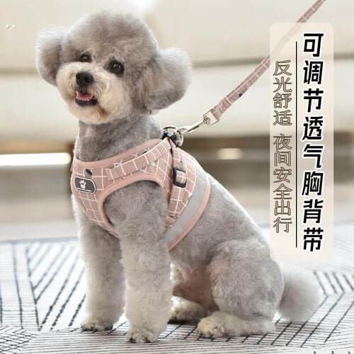 巨型贵宾犬巨贵犬专用牵引绳狗狗胸背带泰迪脖圈狗链子遛狗用品