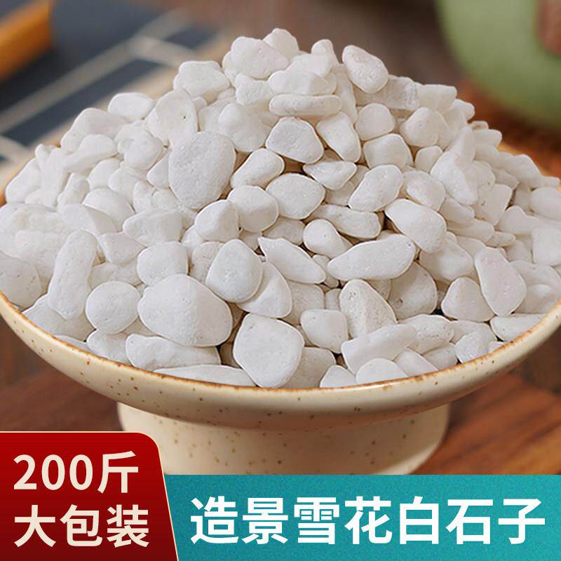 200斤装白色石头大鹅卵石庭院铺路铺地小白石花园造景景观白石子