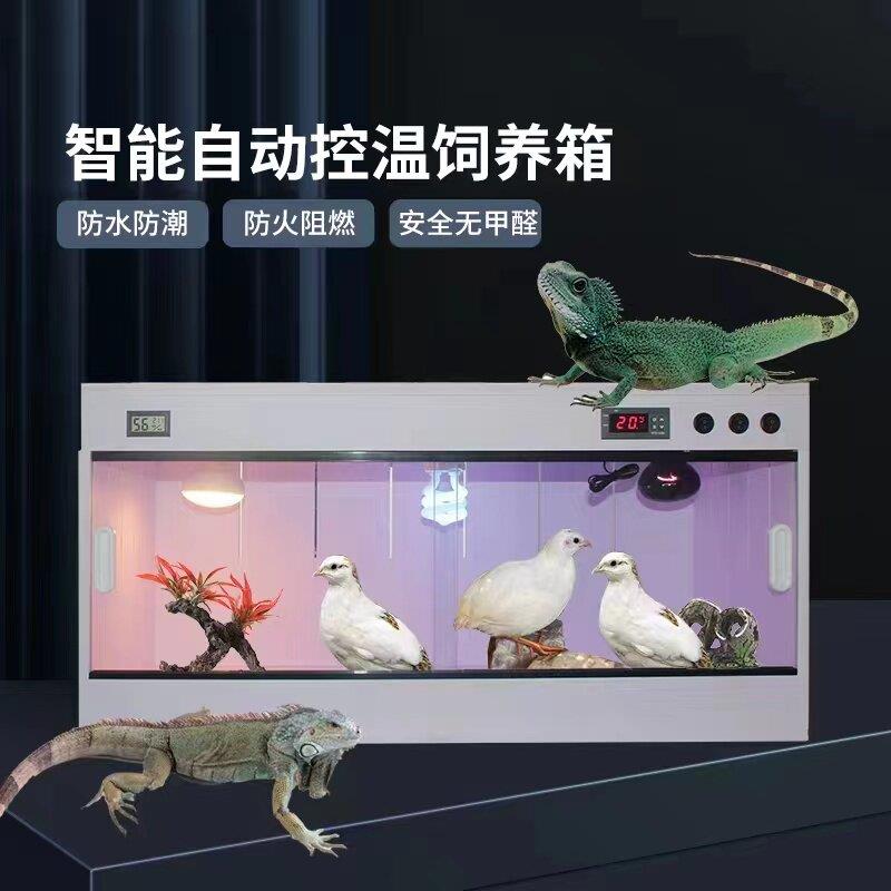 PVC芦丁鸡饲养箱爬宠鬃狮蜥蜴守宫刺猬蛇陆龟寄居蟹温控保温恒