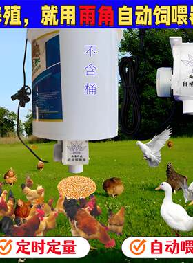 家禽自动喂食器鸡鸭自动投喂鸽子喂食远程控制定时下料太阳能养殖