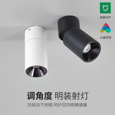 LED明装射灯无主灯客厅背景墙过道吸顶折叠黑光防眩高显色小射灯