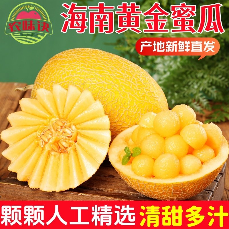 正宗海南黄金蜜瓜甜瓜金冠香瓜应季新鲜水果当季甜香瓜哈密瓜整箱,水产肉类/新鲜蔬果/熟食,甜瓜,淘宝优惠券,粉丝福利购,淘宝优惠卷