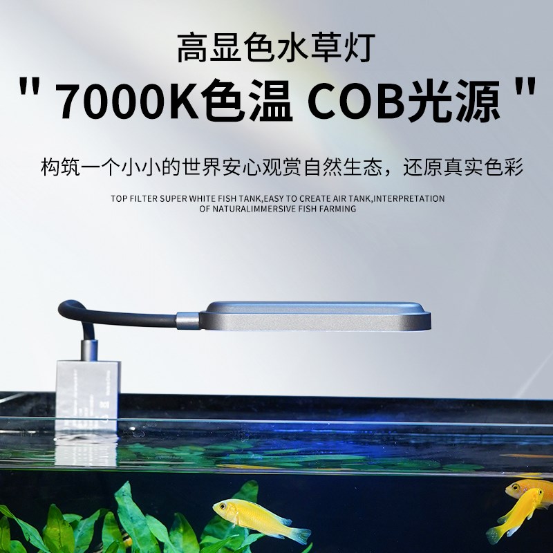 鱼缸生态桌面造景家用超白玻璃中小型客厅鱼缸生态水景缸全套带景