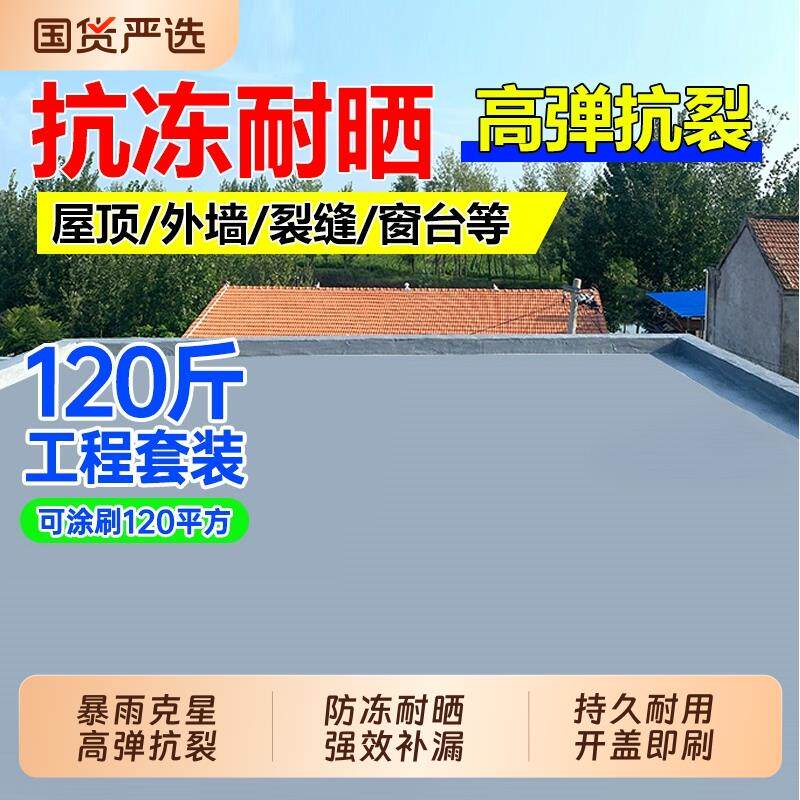 屋顶防水补漏材料房顶裂缝渗水漏水防水涂料楼顶补漏王防漏防水胶