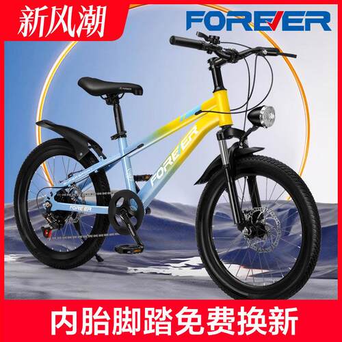 永久青少年小学生儿童登山自行车20/22寸变速男女单车中大童代步