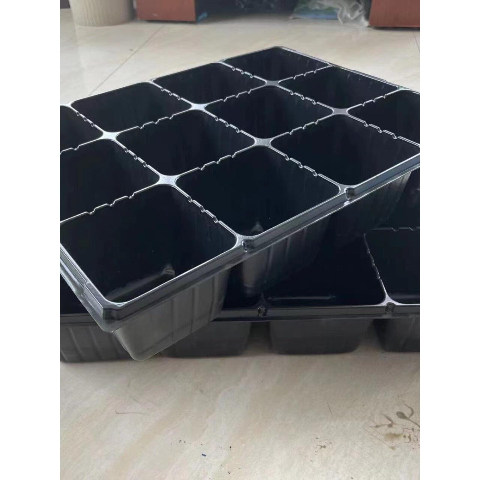 12孔育苗盘,插头盘,草莓苗木花卉园艺切割容器,森林育苗盆