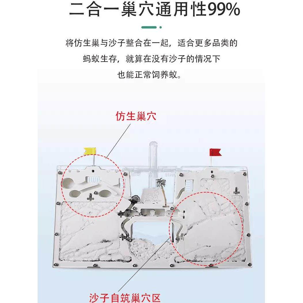 双蚂蚁城堡免装版蚂蚁工坊屋窝巢房家园庄园蚁后沙蚁巢生态箱平面