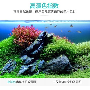 鱼缸水草灯led全光谱专业小型专用防水照明超亮水族箱鱼灯草灯架