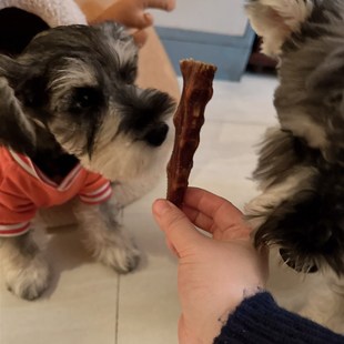 狗狗磨牙棒烘干牛尾骨小狗磨牙骨头狗磨牙棒子狗狗磨牙零食牛尾骨