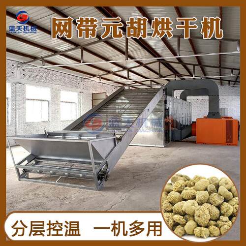 元胡烘干机 网带式玄胡白芷中药材饮片烘干设备 大型延胡索干燥机
