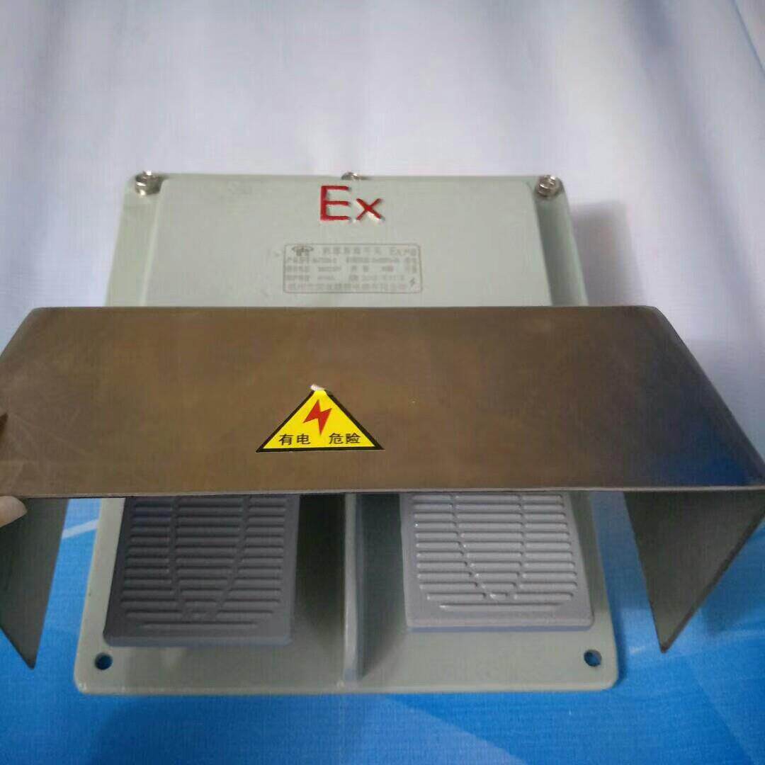 防爆脚踏开关双踏DLXK-DYT-S防爆双踏开关380V220V一常开一常闭铝