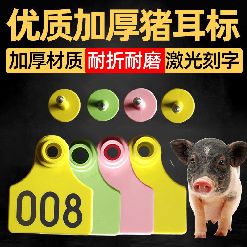 养殖场猪耳标牌牛羊用母猪耳标号牌耳号钳羊耳朵标记标签畜牧兽用