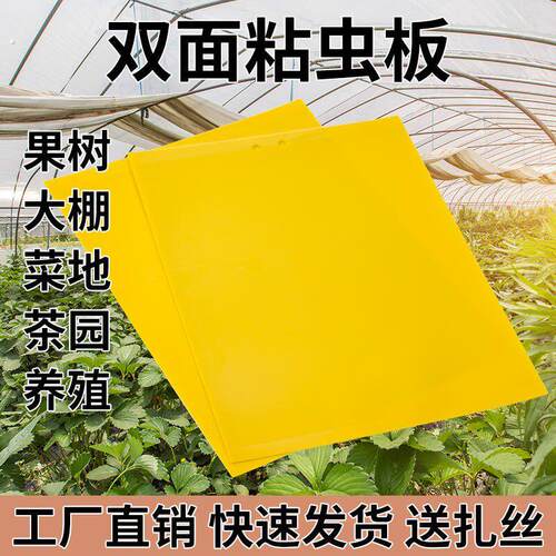 双面粘虫板黄板粘小飞虫蚊子果园果蝇诱捕器大棚苍蝇贴强利粘蝇纸