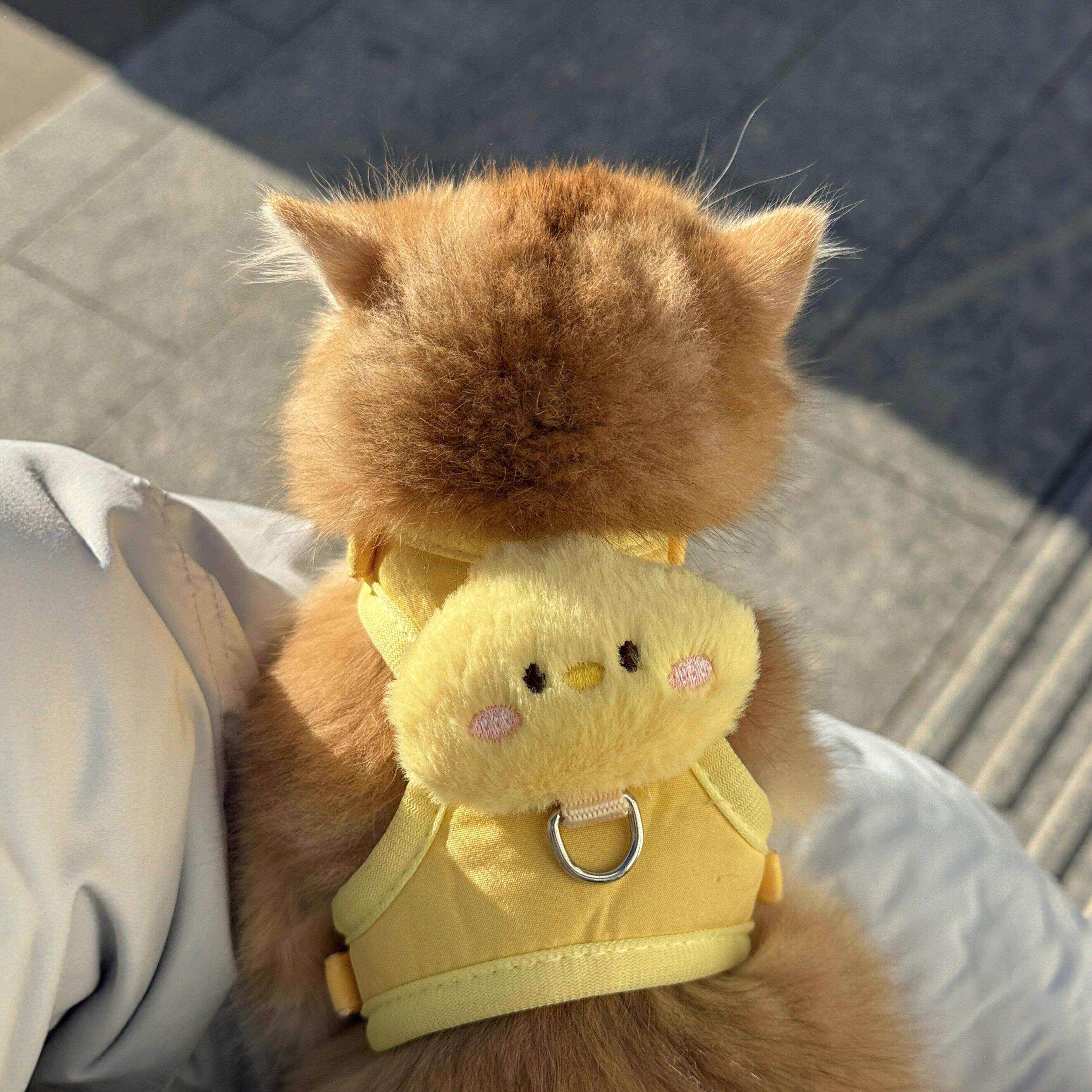 猫咪牵引绳防挣脱外出专用背心式防走丢工字背带遛猫狗宠物用品