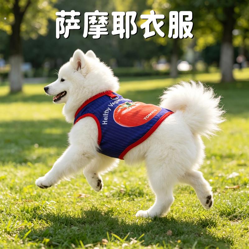 萨摩耶衣服春夏外出狗狗专用薄款可爱背心透气可牵引大型犬服饰