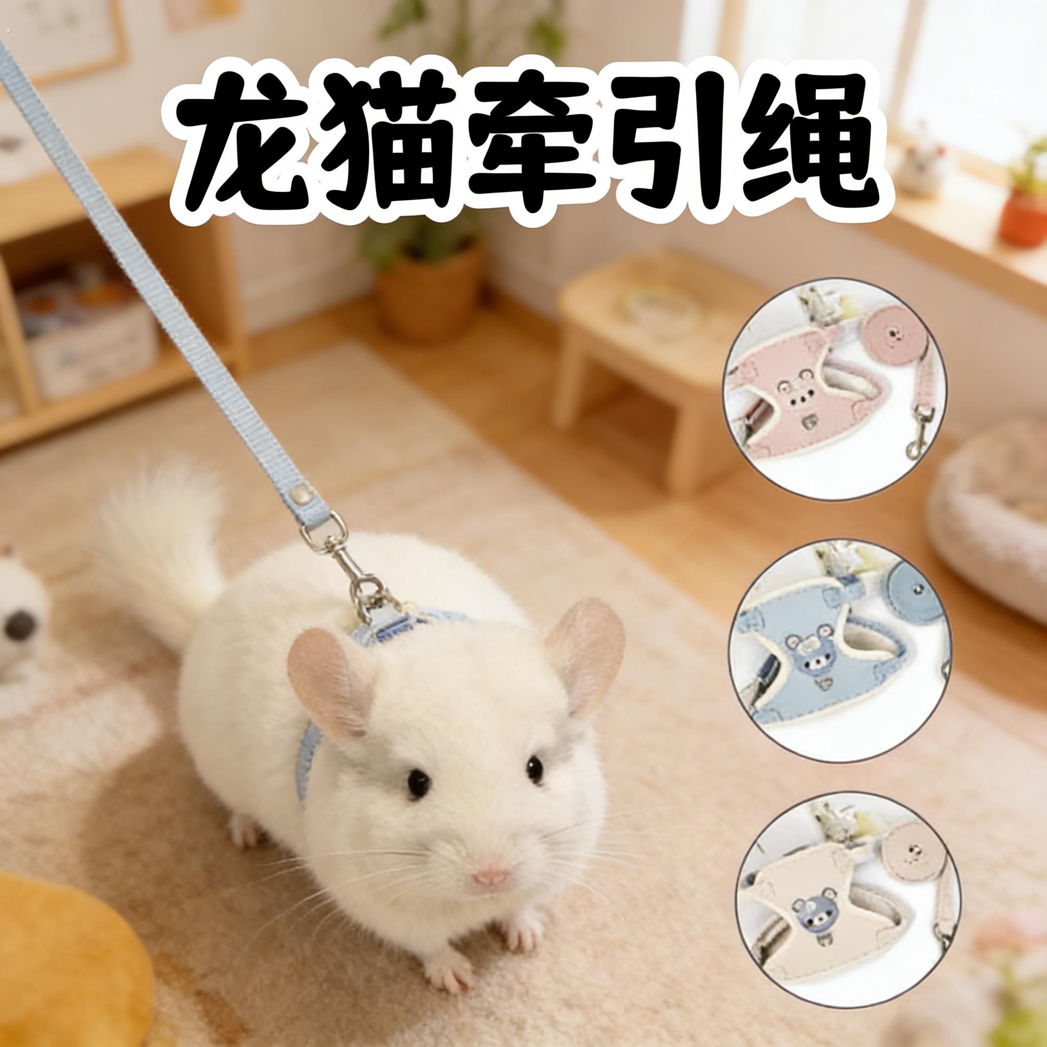 龙猫专用牵引绳子可调节伸缩外出遛溜防挣脱小型宠物外带放风用品