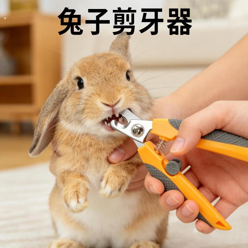 兔子剪牙器侏儒兔专用剪牙钳剪牙齿小兔用品大全指甲剪新手断牙器