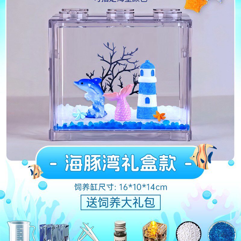 礼盒款桌面上的派大星 小宠物 海星 奇特宠物 海燕海星 创意礼品,宠物/宠物食品及用品,生态瓶/创意缸/微景缸,淘宝优惠券,粉丝福利购,淘宝优惠卷