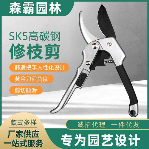 果树粗枝树枝手动园林剪 鸟嘴森霸滑轮枝剪 高枝果树花木修枝剪