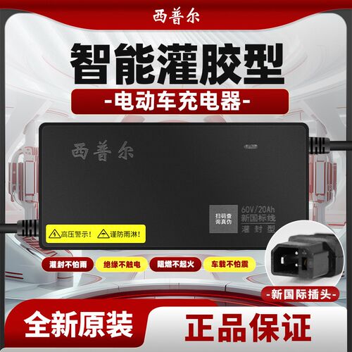 西普尔电动车电瓶充电器通讯协议新国际插头48V12AH20铅酸电瓶