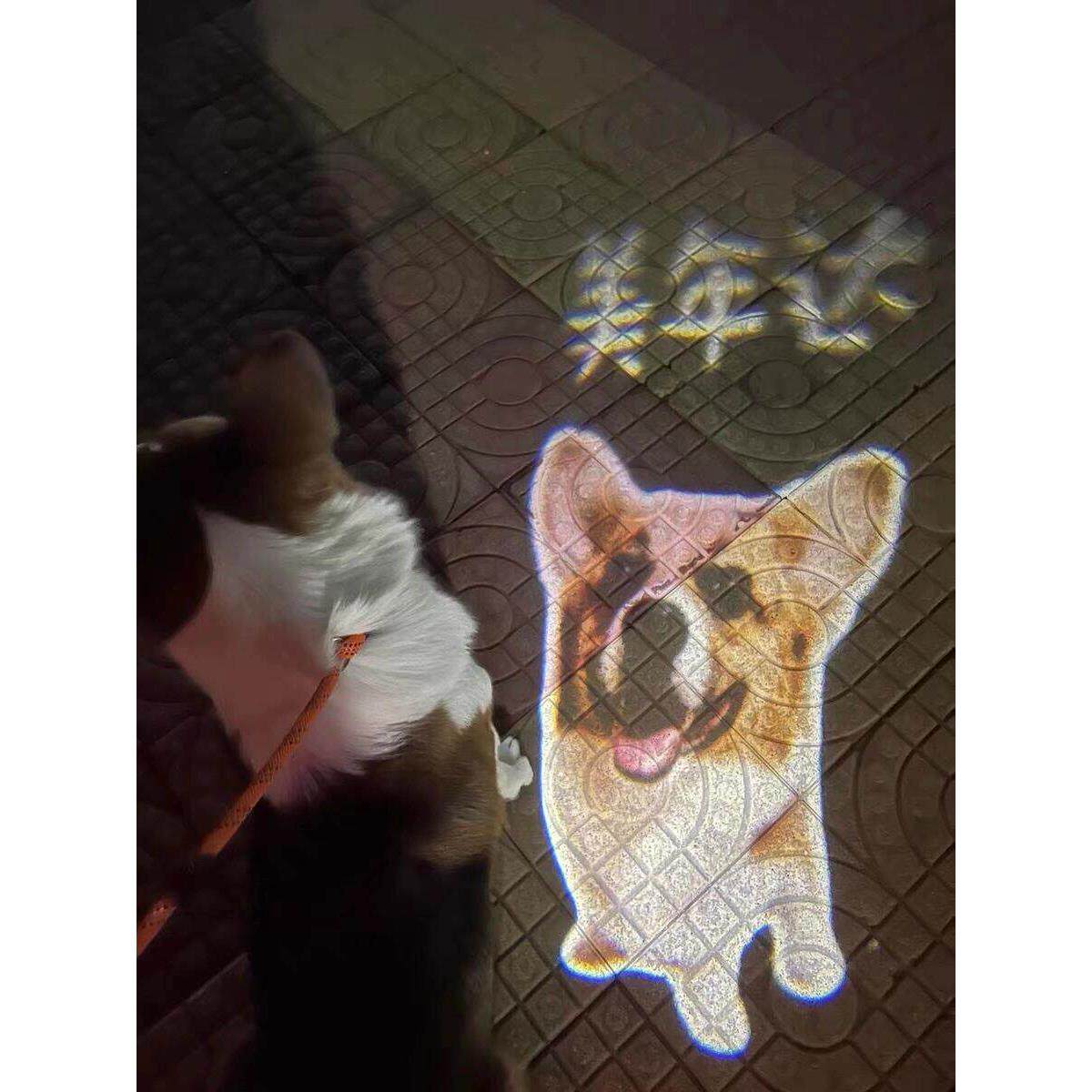 宠物社交投影灯项圈挂牌LED灯夜间防走失遛狗灯宠物灯可定制图案