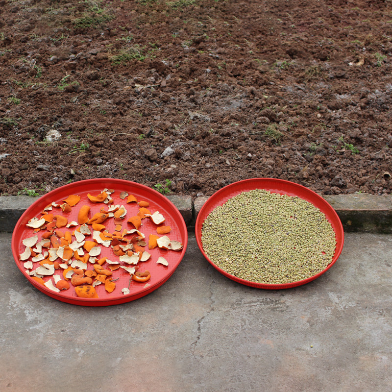 仿竹编塑料晾晒簸箕筛子厚实耐用粗孔细孔千孔筛谷物杂粮芝麻菜籽,特色手工艺,竹编/竹雕,淘宝优惠券,粉丝福利购,淘宝优惠卷