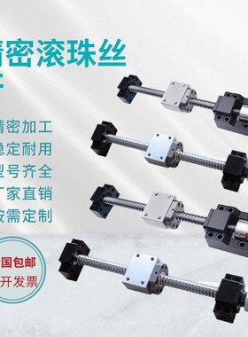 精密滚珠丝杆螺母SFU 1204 1605 2510 3210 直线升降滑台丝杠全套