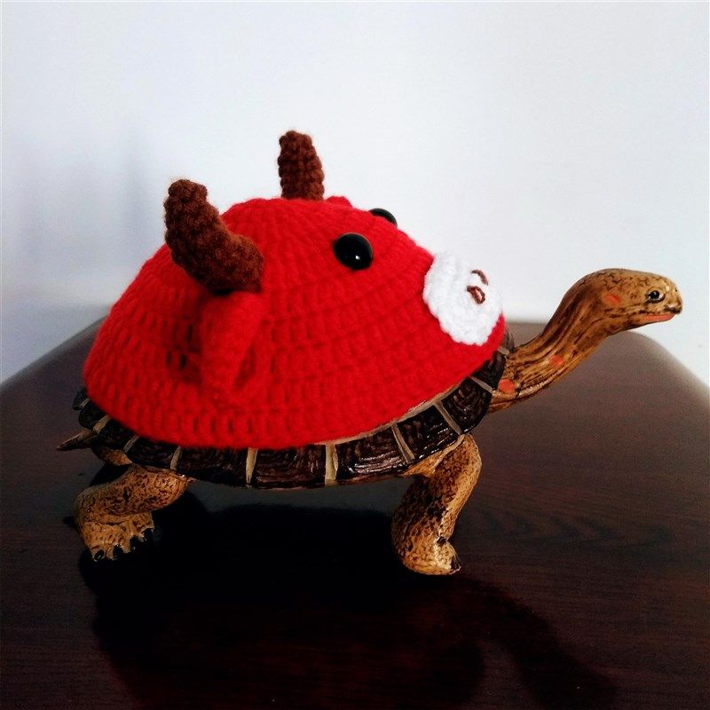 乌龟衣服宠物用品乌龟装扮乌龟穿的烏龜衣服陆龟水龟通用毛线定制,宠物/宠物食品及用品,猫宠物服装/雨衣（新）,淘宝优惠券,粉丝福利购,淘宝优惠卷