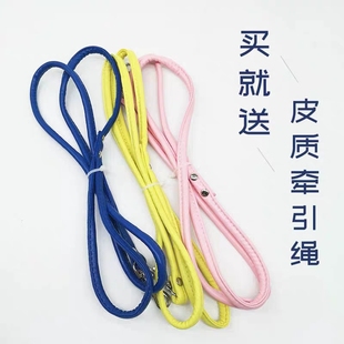 宠物兔饰品 兔子牵引绳侏儒兔衣服 垂耳兔可爱裙子小制服幼兔溜达