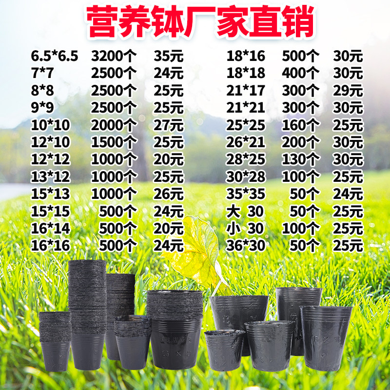 营养杯育苗杯黑色营养钵一次性黑色营养袋育苗袋育秧碗塑料育苗盆