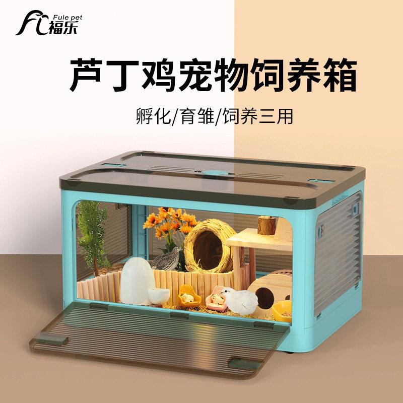 芦丁鸡饲养箱全套宠物用品鹦鹉鸟笼鹌鹑笼子造景专用保温恒温育雏图片