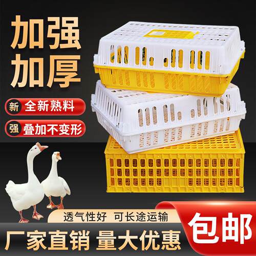 鸡笼周转箱塑料运输笼子成鸡鸭鹅周转筐鸡用运输筐加厚装兔笼鸽笼
