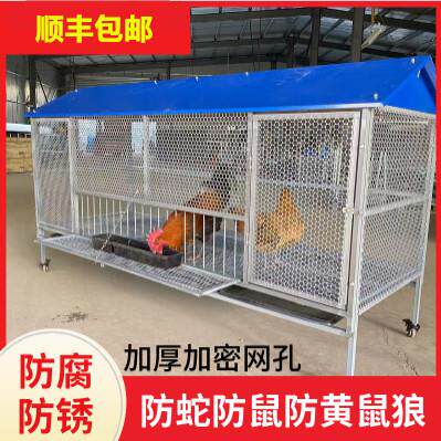 尖顶鸡笼室外防黄鼠狼饲养笼铁丝网鸽子鸭兔不锈钢芦丁鸡密养殖笼