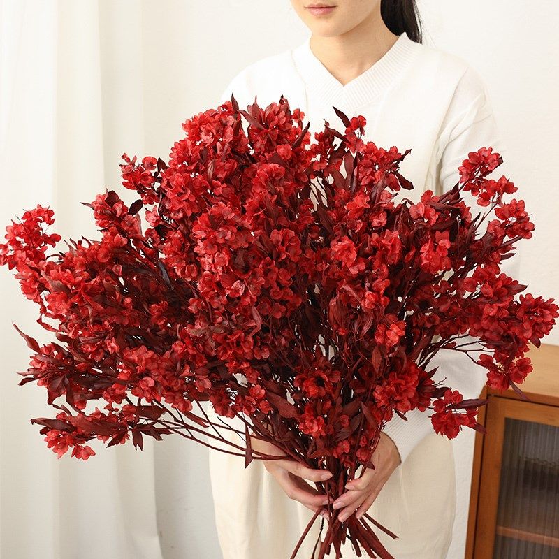 迎客豆永生花干花花束高级感真花客厅餐桌乔迁喜庆插花装饰年宵花