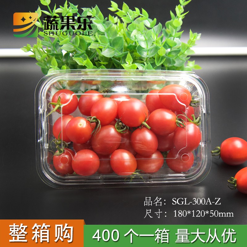 蔬果乐300A一次性高透明地瓜干小蕃茄水果切盒塑料打包盒300g装