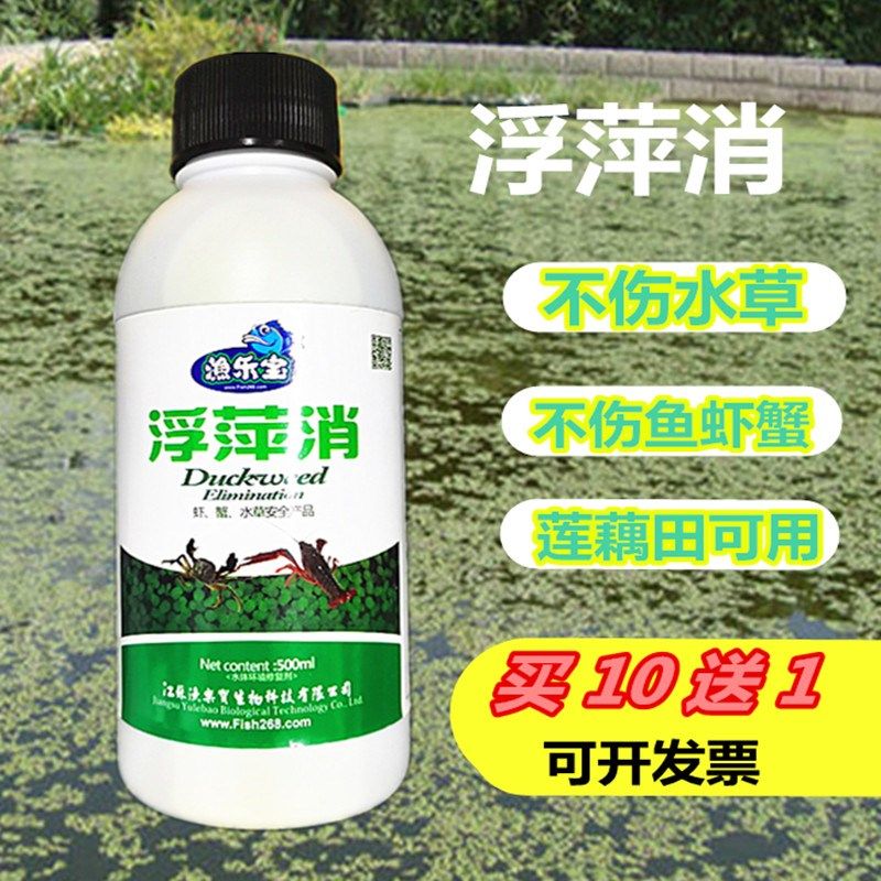 浮萍消不伤鱼虾蟹水草莲藕稻田河道景观池浮萍净浮萍克星清理药剂