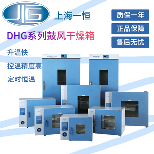 9240A电热鼓风干燥箱9030A实验室9070A数显恒温烘箱 上海一恒DHG