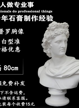 阿普罗石膏像阿波罗石膏头像雕塑装饰摆件素描写生教具胸像
