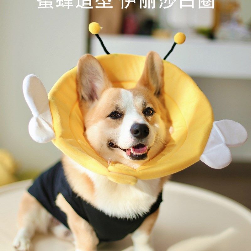 宠物伊丽莎白圈加深狗狗防咬防舔防水头套软耻辱脖圈柯基绝育用品,宠物/宠物食品及用品,宠物伊丽莎白圈,淘宝优惠券,粉丝福利购,淘宝优惠卷
