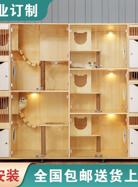 定制豪华猫笼子实木多层板小猫柜别墅猫舍玻璃宠物店展示柜猫产房