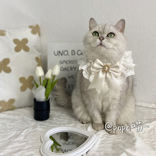 宠物结婚礼白色婚纱围巾猫咪围脖套宠物蕾丝围嘴狗狗纯洁口水巾